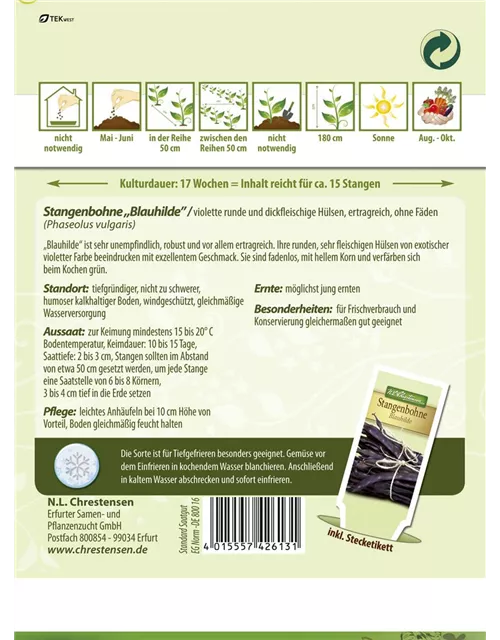 Stangenbohnensamen 'Blauhilde'