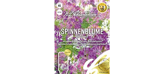 Spinnenblumensamen