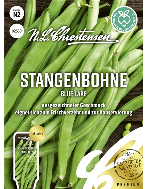 Stangenbohnensamen 'Blue Lake'