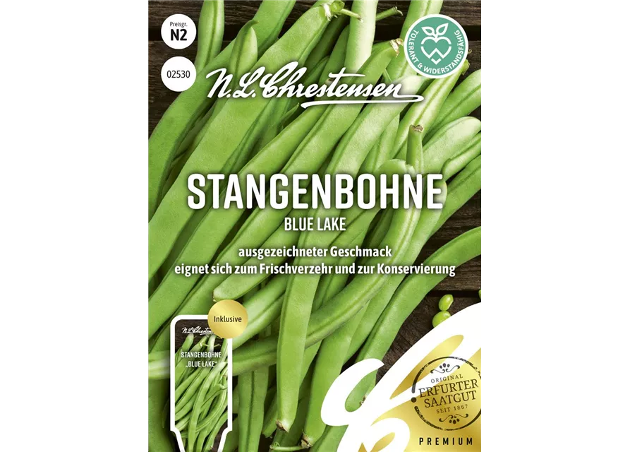 Stangenbohnensamen 'Blue Lake'