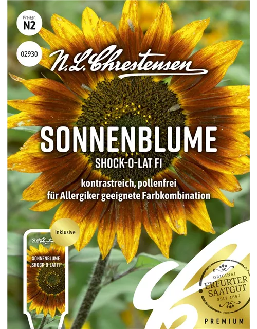 Sonnenblumensamen 'Shock-o-lat'
