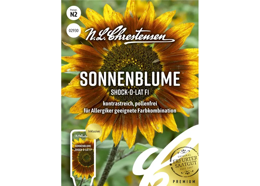 Sonnenblumensamen 'Shock-o-lat'