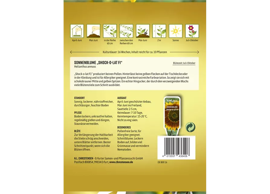 Sonnenblumensamen 'Shock-o-lat'