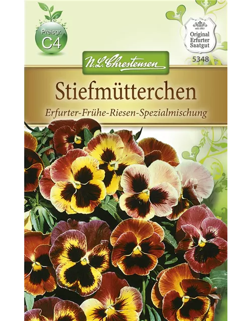 Stiefmütterchensamen 'Frühe Riesen'