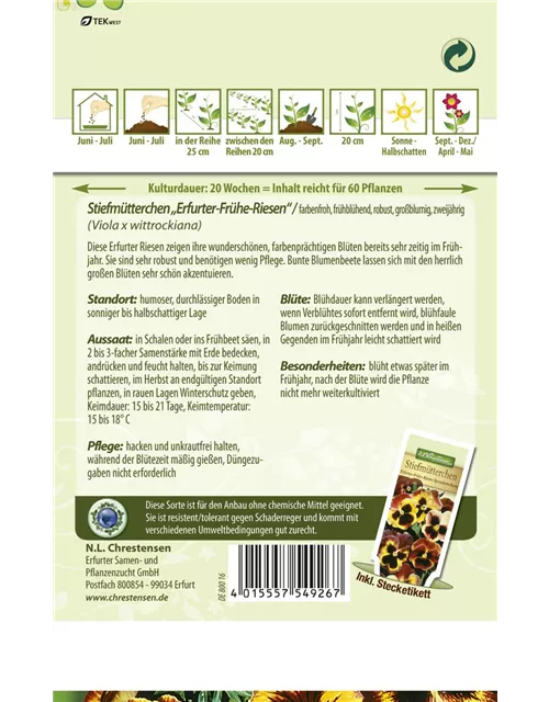 Stiefmütterchensamen 'Frühe Riesen'