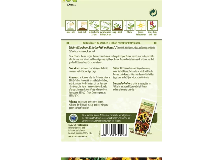 Stiefmütterchensamen 'Frühe Riesen'