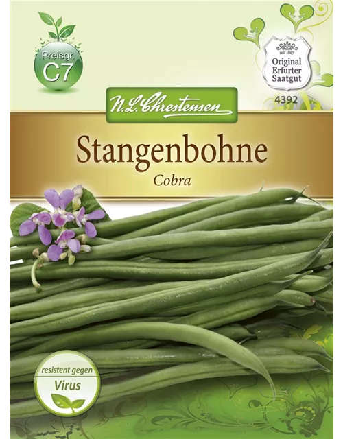 Stangenbohnensamen 'Cobra'