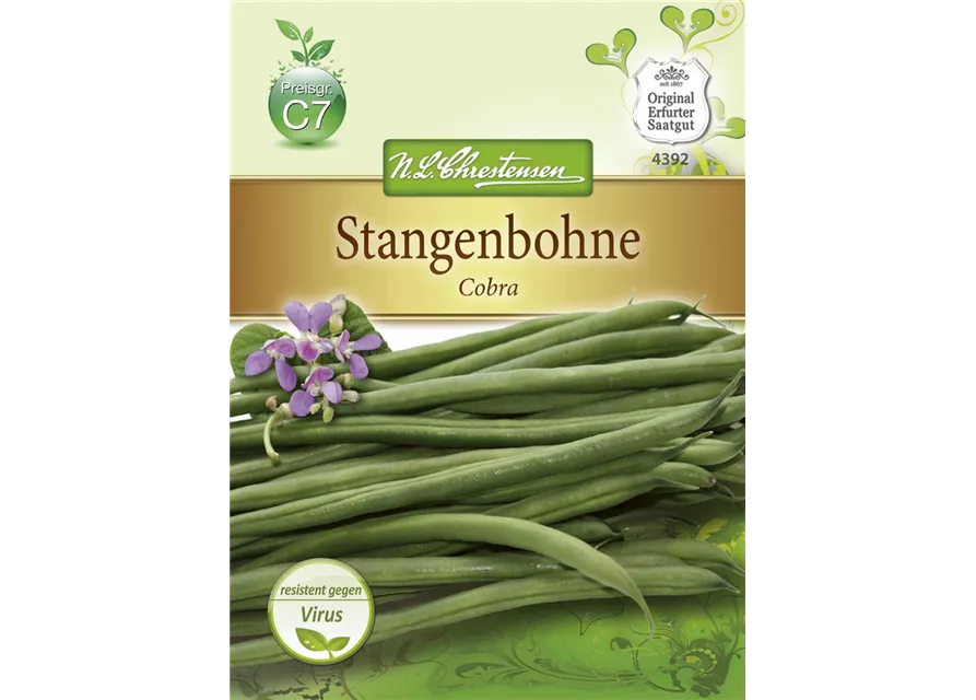 Stangenbohnensamen 'Cobra'