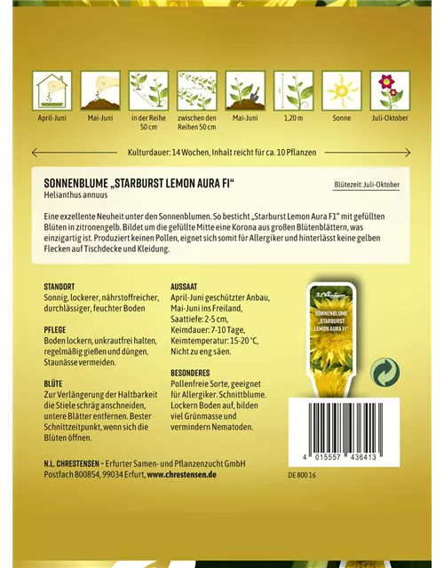 Sonnenblumensamen 'Starburst Lemon Aura'