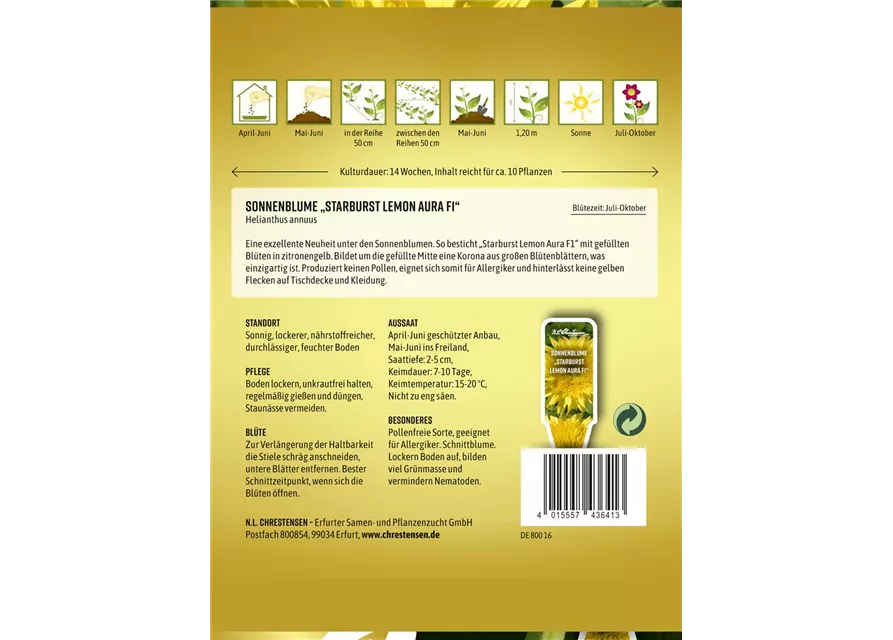 Sonnenblumensamen 'Starburst Lemon Aura'