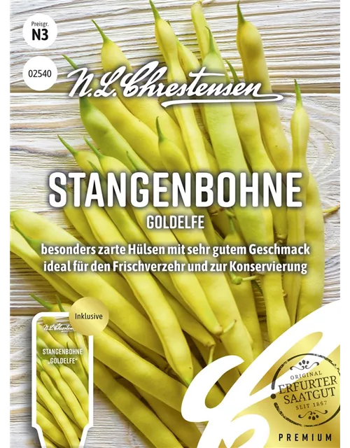 Stangenbohnensamen 'Goldelfe'