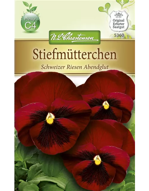 Stiefmütterchensamen 'Schweizer Riesen Abendglut'