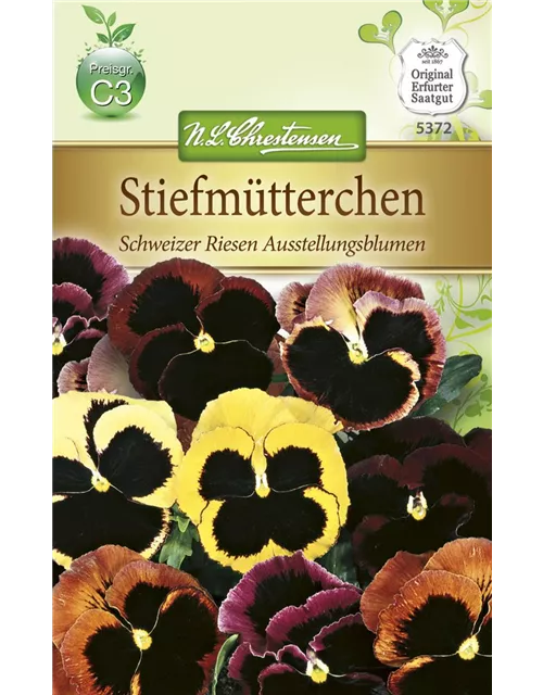 Stiefmütterchensamen 'Schweizer Riesen Ausstellungsblume'