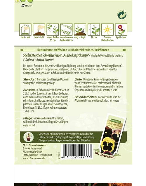 Stiefmütterchensamen 'Schweizer Riesen Ausstellungsblume'