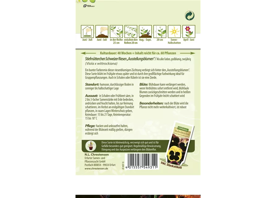 Stiefmütterchensamen 'Schweizer Riesen Ausstellungsblume'