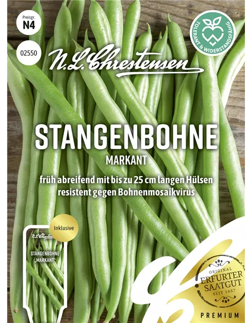 Stangenbohnensamen 'Markant'