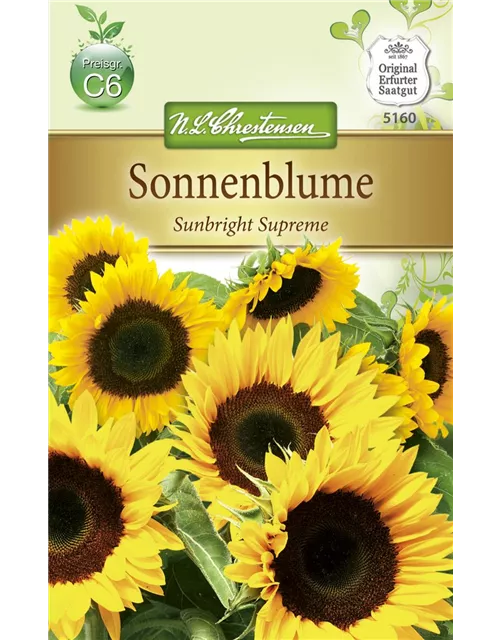 Sonnenblumensamen 'Sunbright'