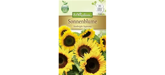 Sonnenblumensamen 'Sunbright'
