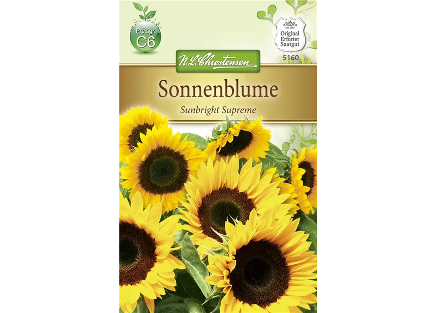 Sonnenblumensamen 'Sunbright'