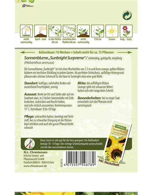 Sonnenblumensamen 'Sunbright'