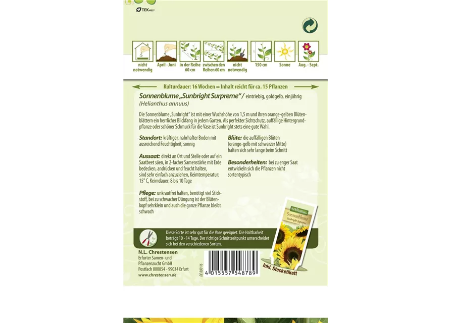 Sonnenblumensamen 'Sunbright'