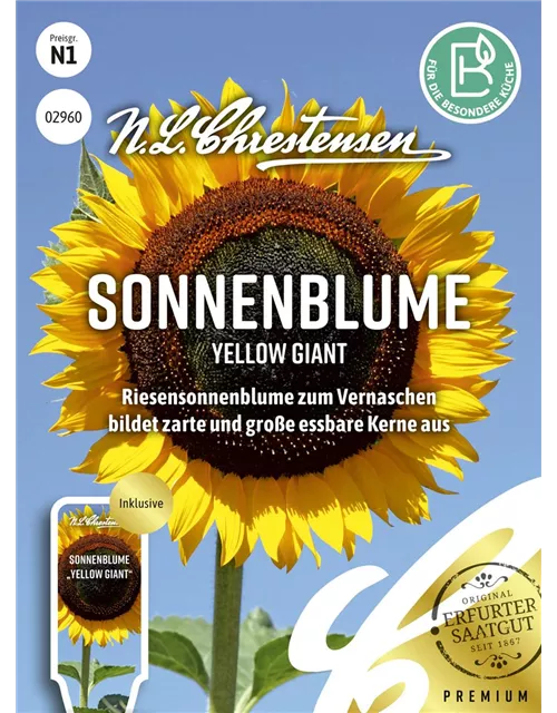 Sonnenblumensamen 'Yellow Giant'