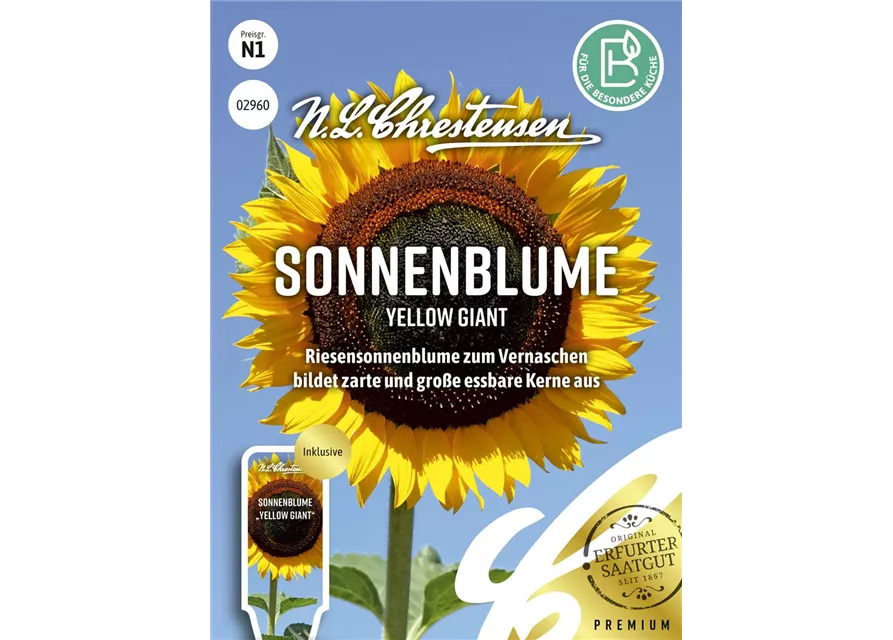 Sonnenblumensamen 'Yellow Giant'