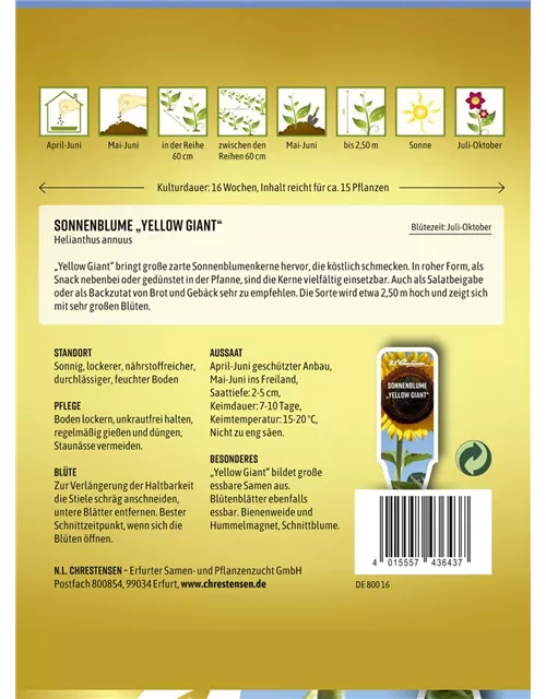 Sonnenblumensamen 'Yellow Giant'