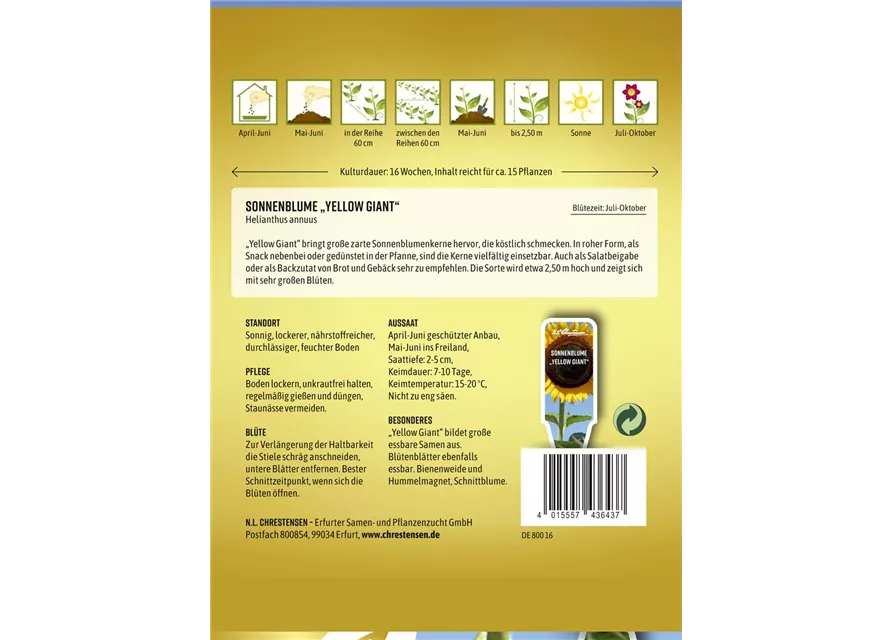 Sonnenblumensamen 'Yellow Giant'