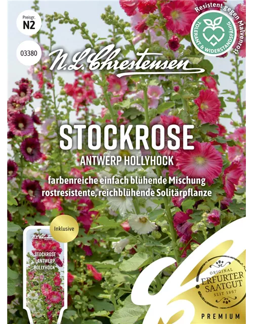 Stockrosensamen 'Antwerp Hollyhock'