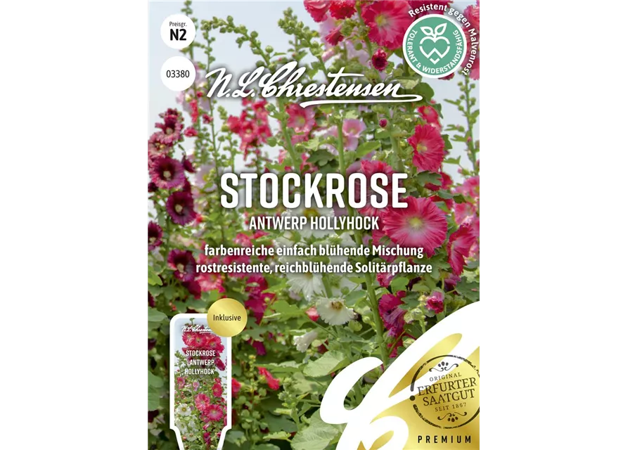 Stockrosensamen 'Antwerp Hollyhock'