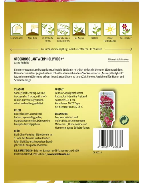 Stockrosensamen 'Antwerp Hollyhock'