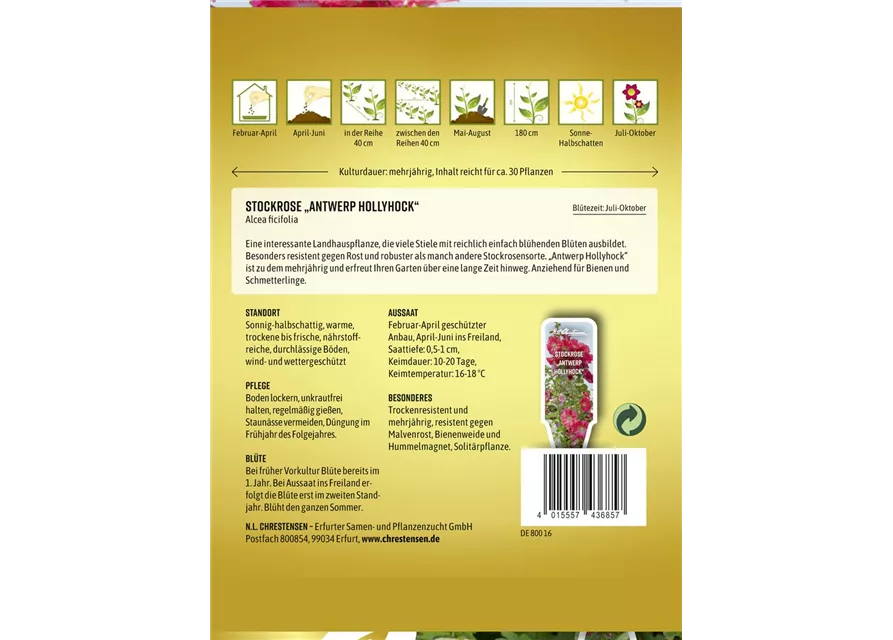 Stockrosensamen 'Antwerp Hollyhock'