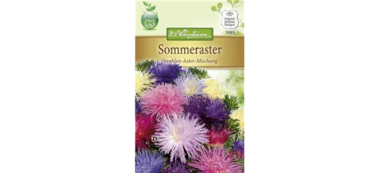 Strahlenastersamen