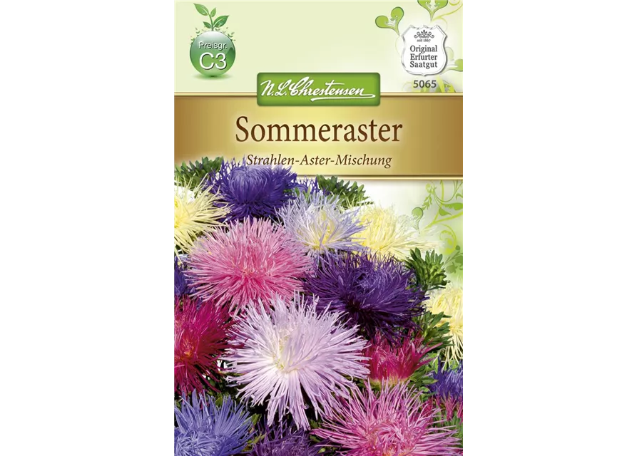 Strahlenastersamen