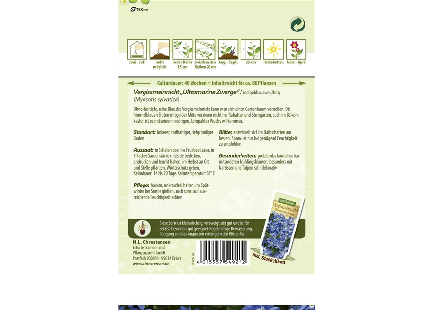 Vergissmeinnichtsamen 'Ultramarine Zwerg'