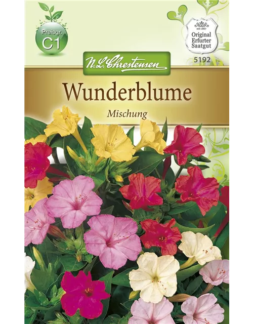 Wunderblumensamen