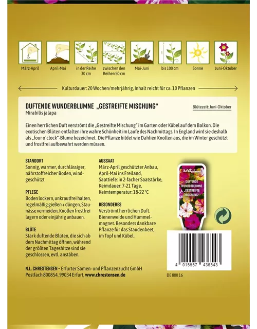 Wunderblumensamen
