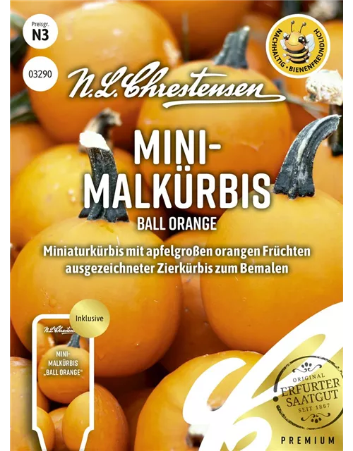 Zierkürbissamen 'Ball Orange'