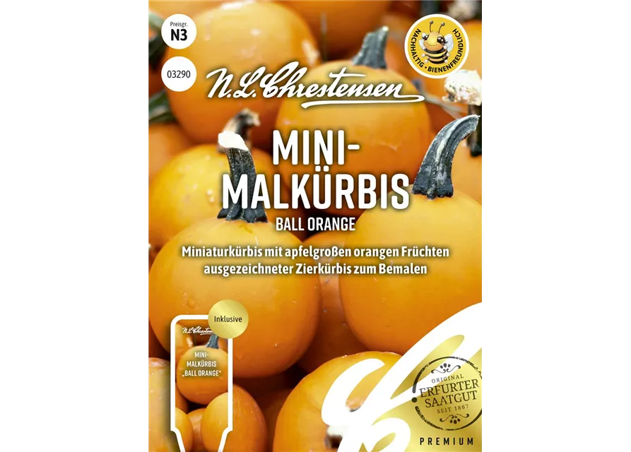 Zierkürbissamen 'Ball Orange'