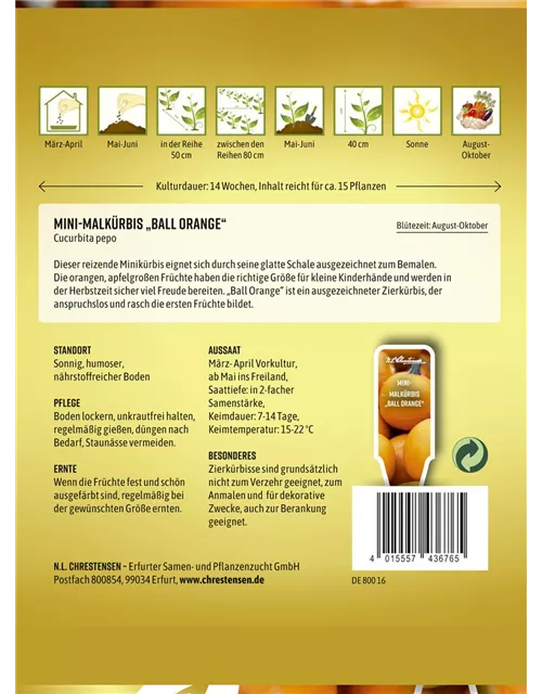 Zierkürbissamen 'Ball Orange'