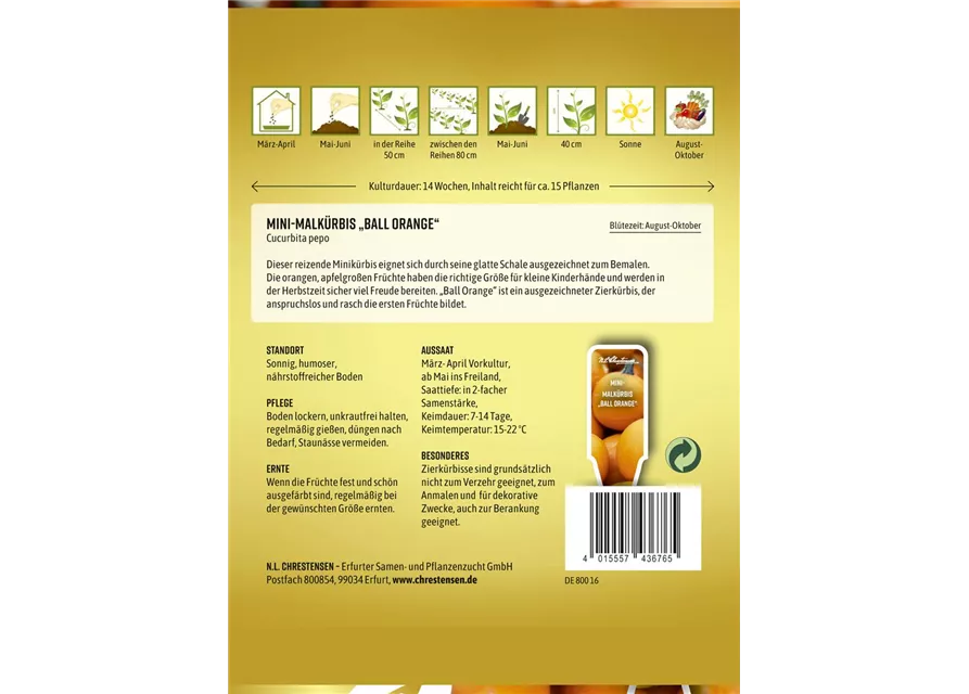 Zierkürbissamen 'Ball Orange'