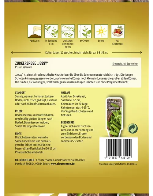 Zuckererbsensamen 'Jessy'