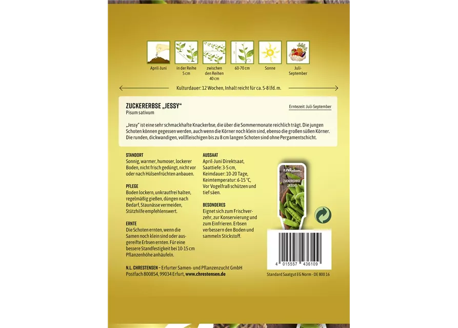 Zuckererbsensamen 'Jessy'