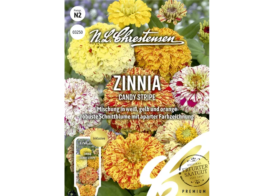 Zinniensamen 'Candy Stripe'