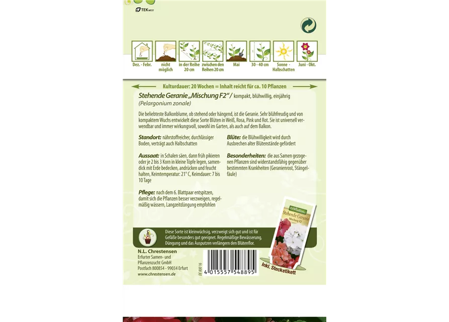 Zonal-Pelargonien-Samen