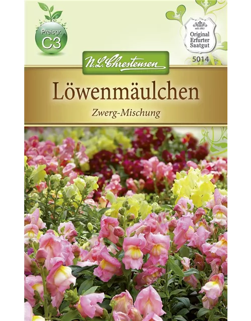 Zwerg-Löwenmaul-Samen