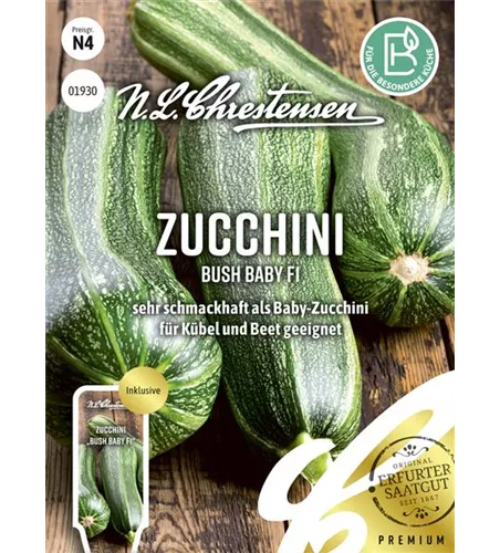 Zucchinisamen 'Bush Baby'