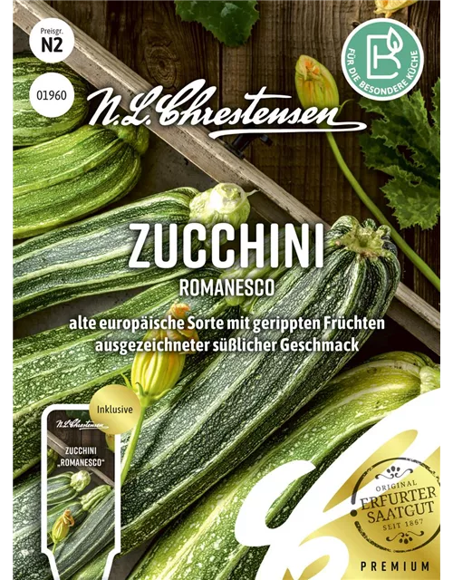 Zucchinisamen 'Costates Romanesco'