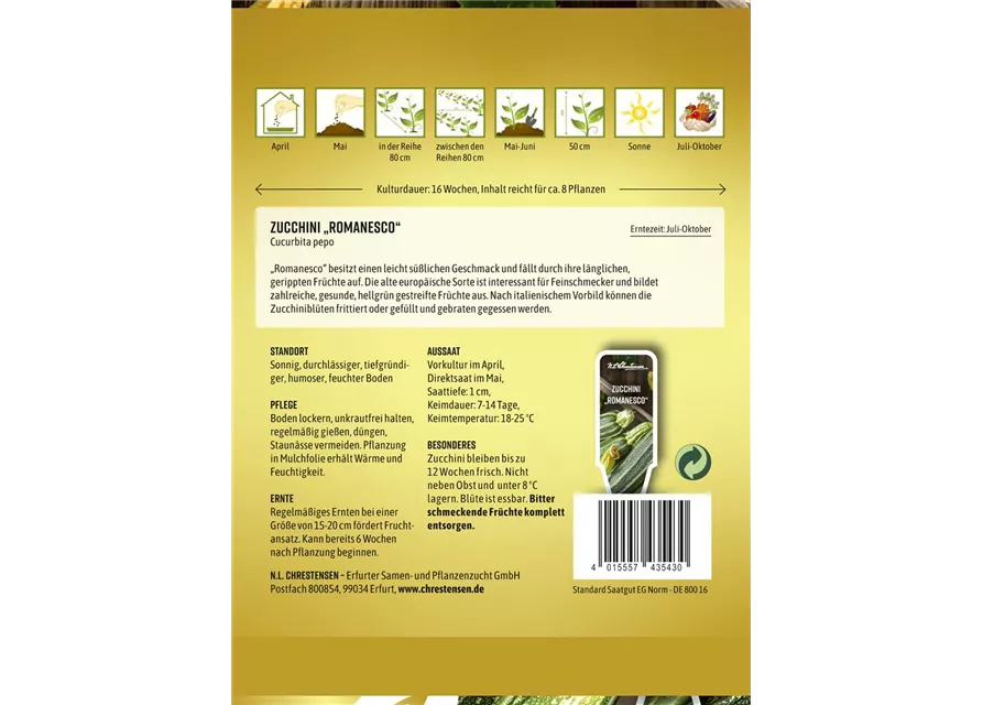 Zucchinisamen 'Costates Romanesco'